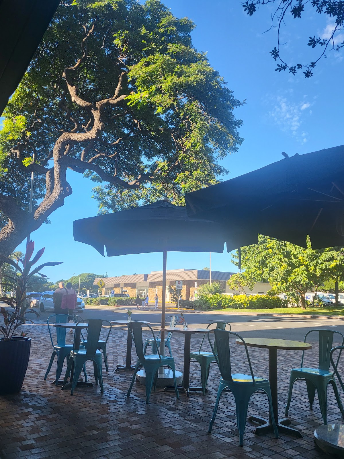 Castro's in Waikiki