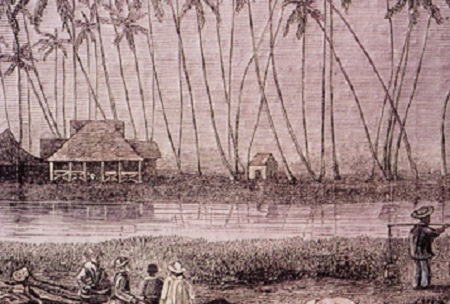 Helumoa's coconut grove with ʻĀpuakēhau Stream in the foreground, 19th century