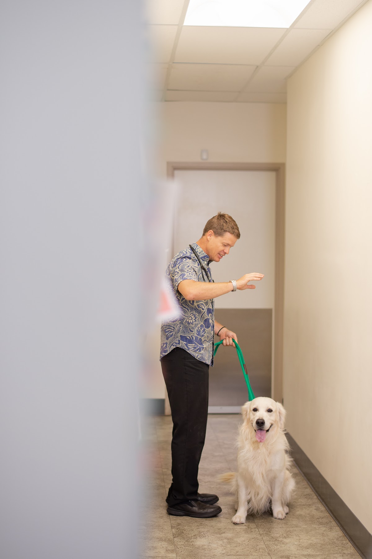 Oahu Veterinary Clinic photo 3