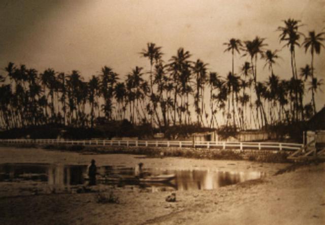 Kamehameha V's property at Helumoa, Waikīkī, c. 1870
