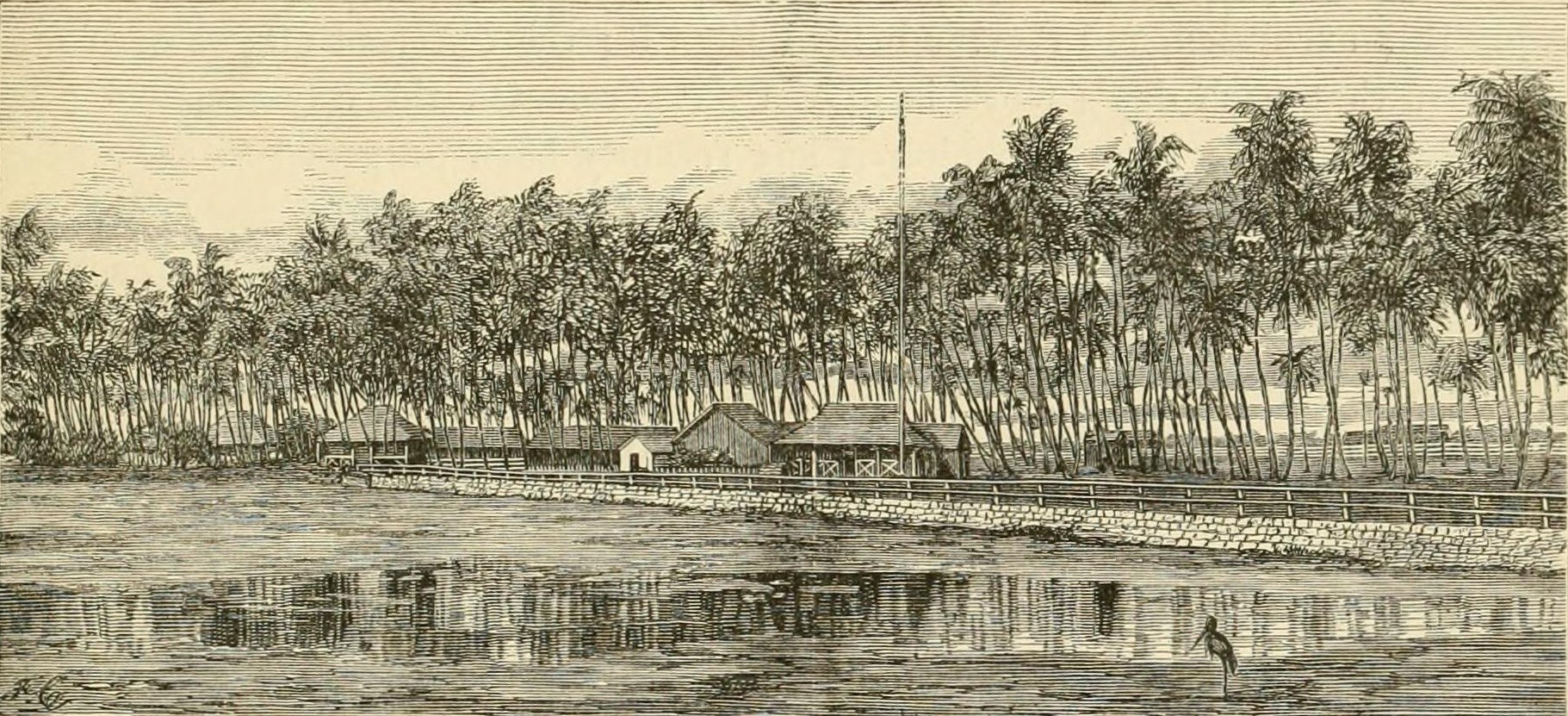Coconut grove and residence of the late King Kamehameha V at Waikīkī, before 1875