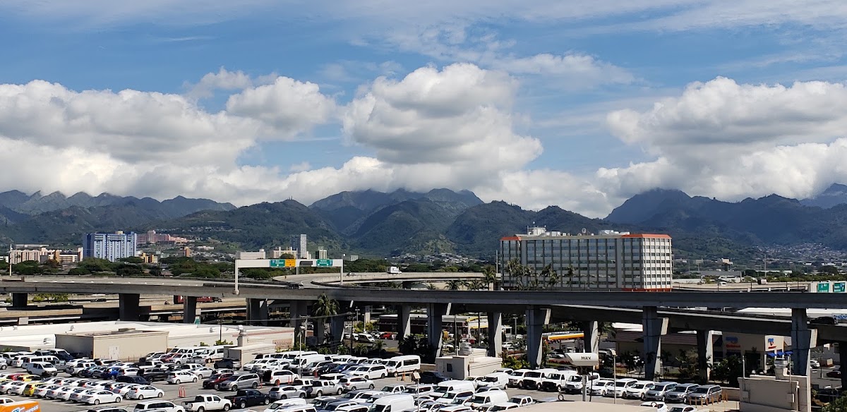 Hawaiian Airlines-Koapaka photo 4